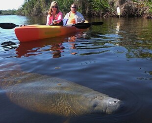 MANATEE PARK